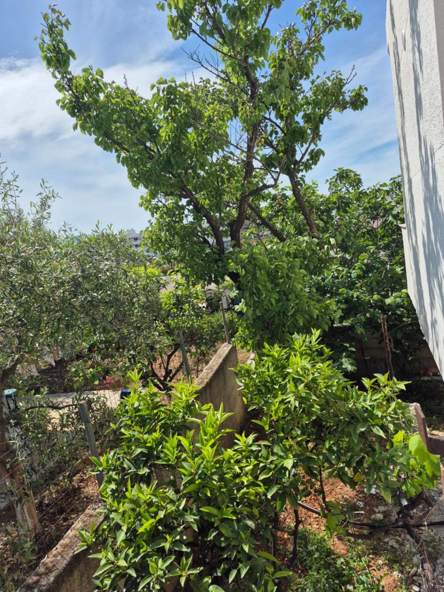 Vita Apartment - Spacious Garden And Balcony 5 Min To Beach & Center Ksamil Dış mekan fotoğraf